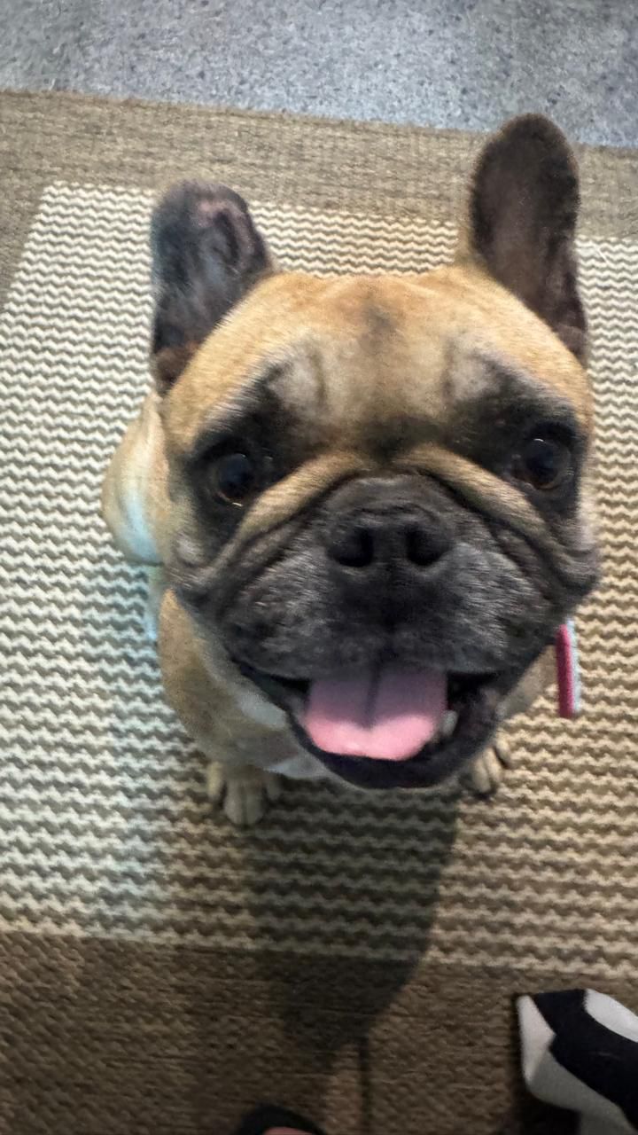 Área Externa e Terapia ao Ar Livre