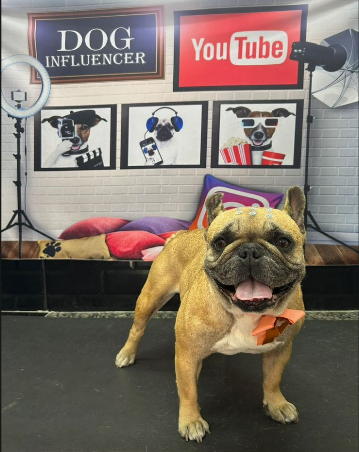 Área Externa e Terapia ao Ar Livre