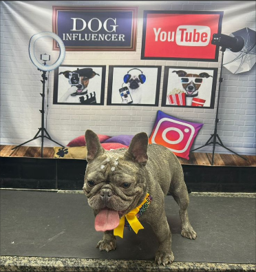 Cão terapeuta e Terapia ao Ar Livre