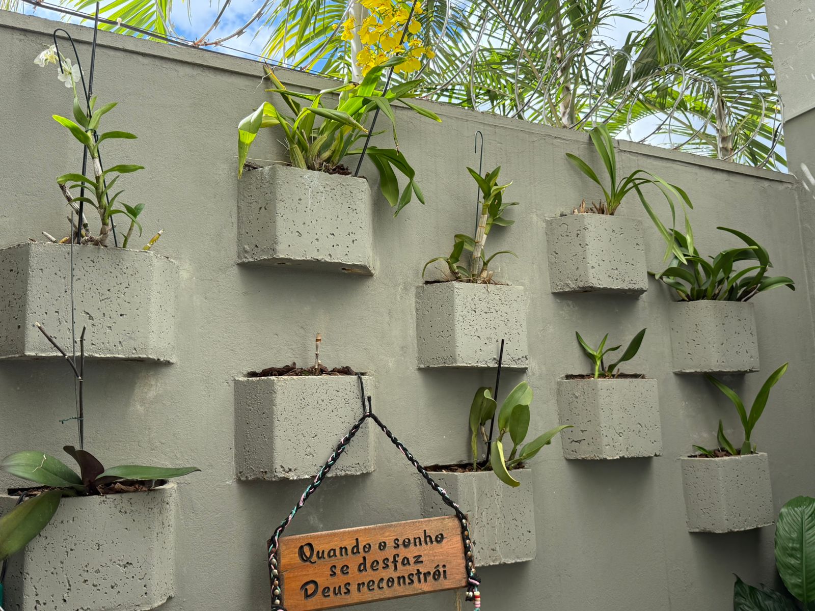 Área Externa e Terapia ao Ar Livre